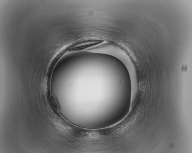 X0000096160395200801251132