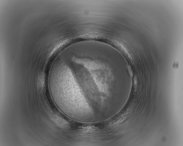 X0000096160396200801251132