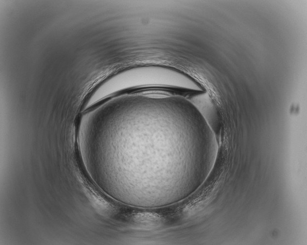 X0000096160397200801251132