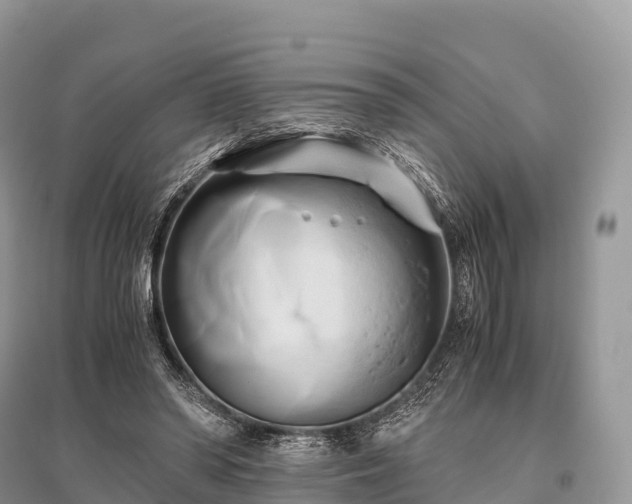 X0000096160398200801251132