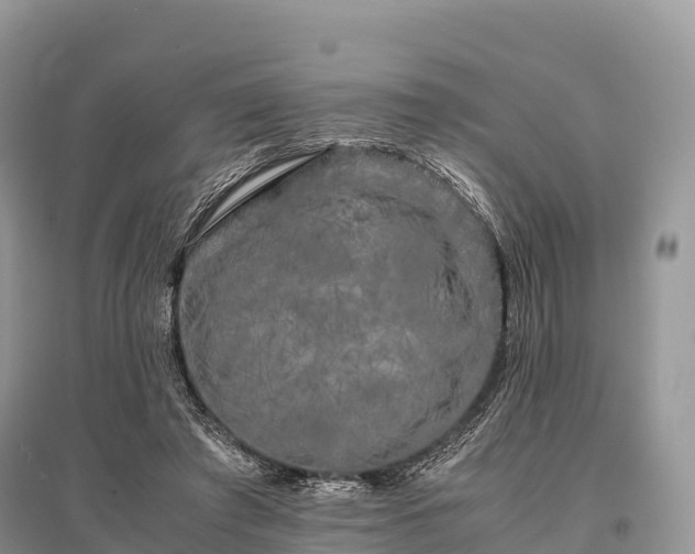 X0000096160401200801251132