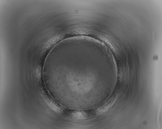 X0000096160402200801251132