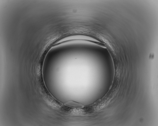 X0000096160403200801251132