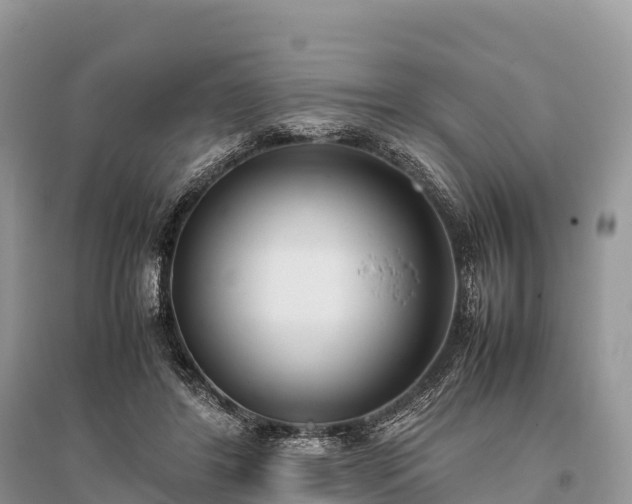 X0000096160404200801251132