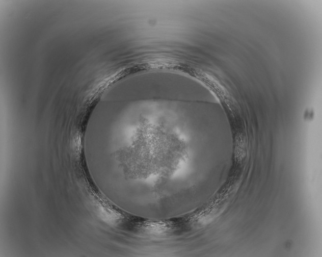 X0000096160405200801251132