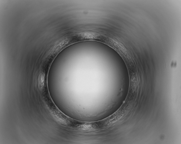 X0000096160406200801251132