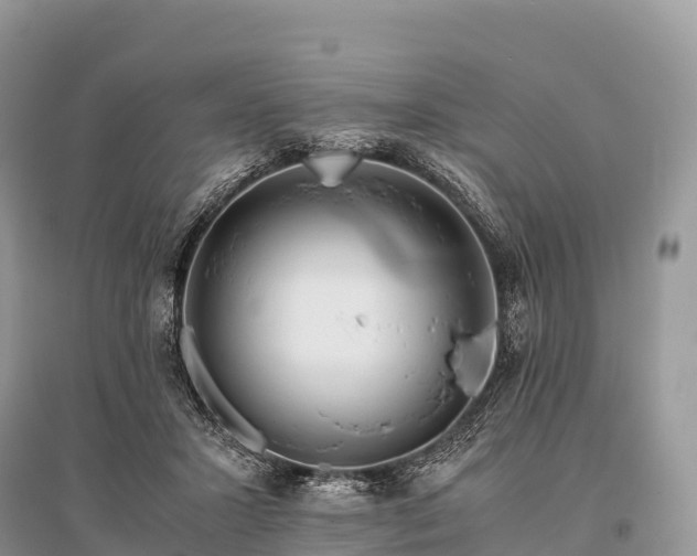 X0000096160407200801251132