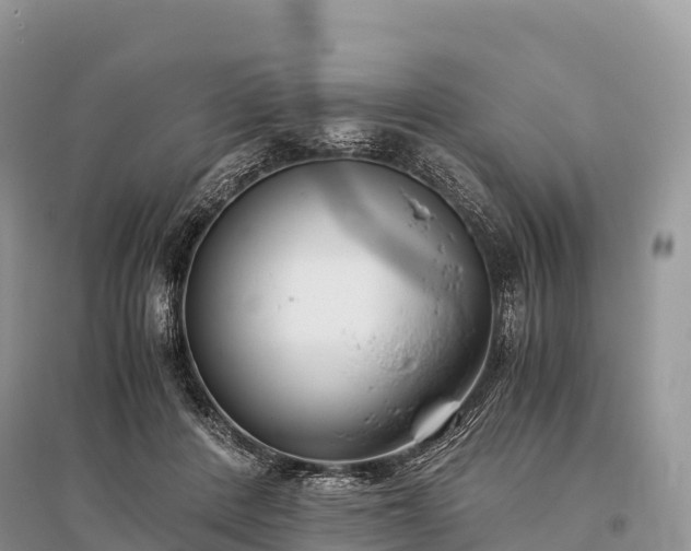 X0000096160408200801251132