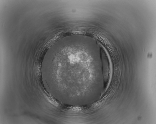 X0000096160409200801251132
