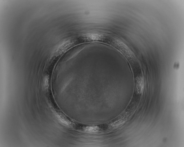 X0000096160410200801251132