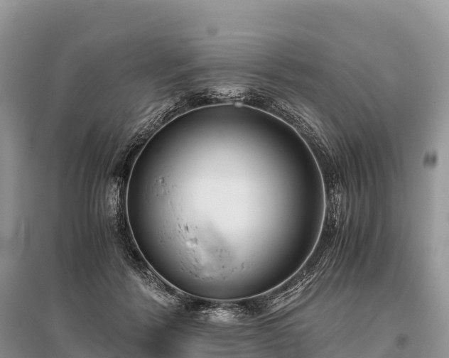 X0000096160412200801251132