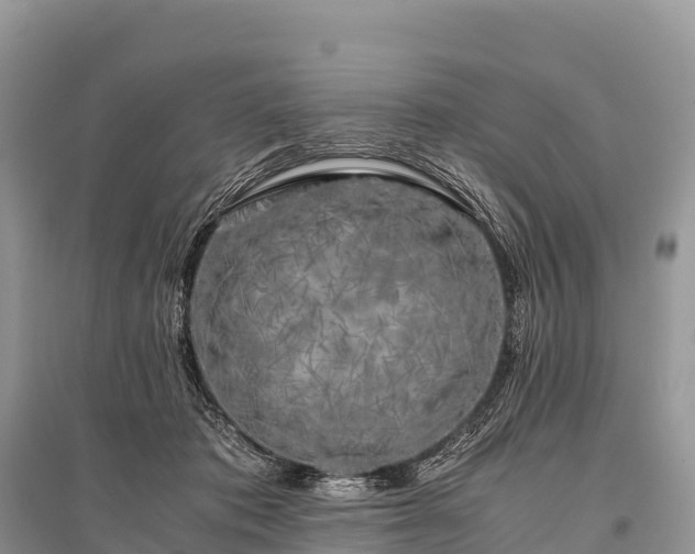 X0000096160413200801251132