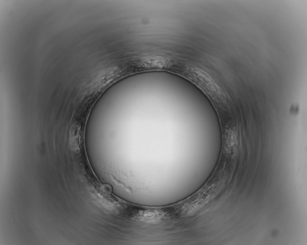 X0000096160414200801251132