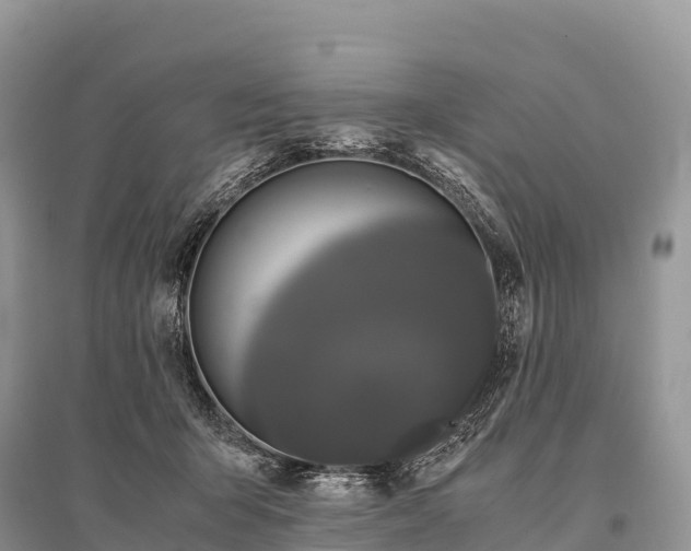 X0000096160415200801251132