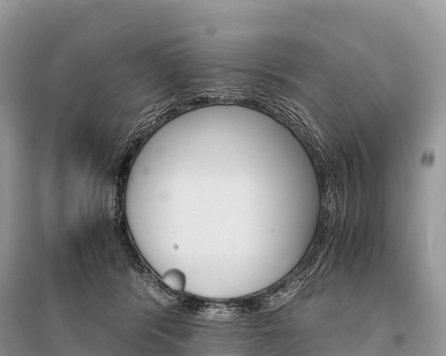 X0000096160416200801251132