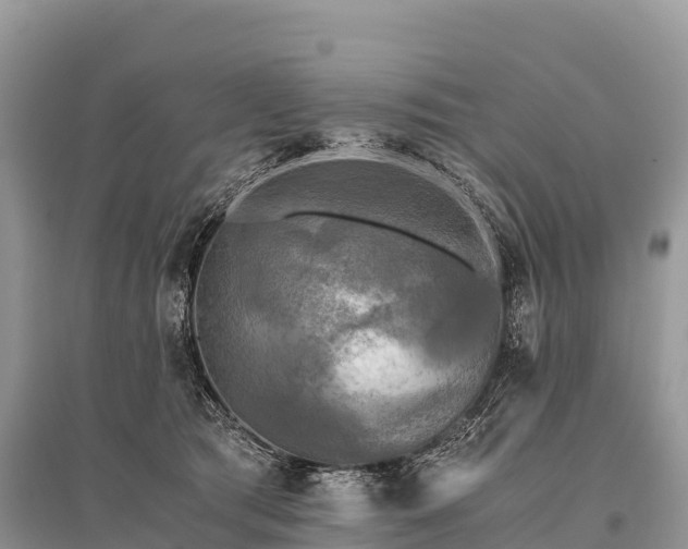 X0000096160417200801251132