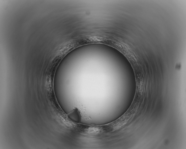 X0000096160418200801251132