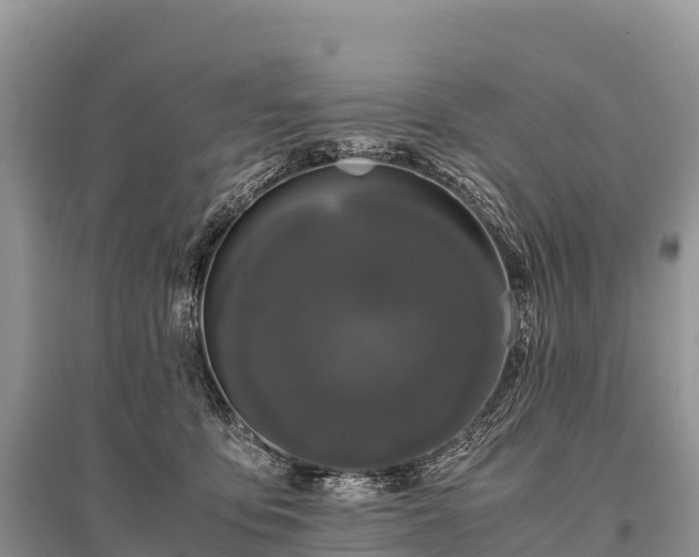 X0000096160419200801251132