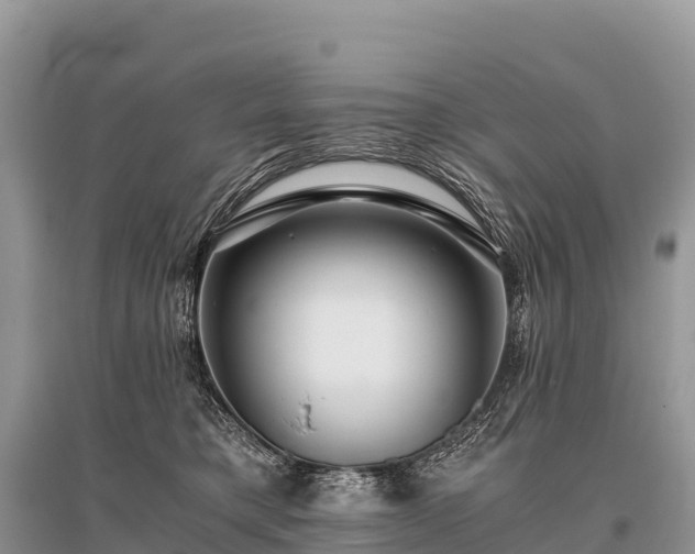 X0000096160421200801251132