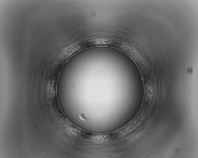 X0000096160422200801251132