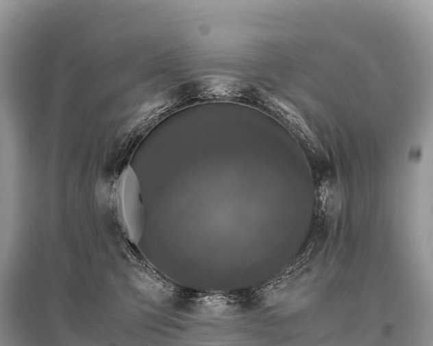 X0000096160423200801251132