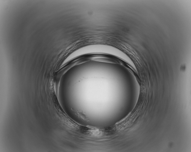 X0000096160425200801251132