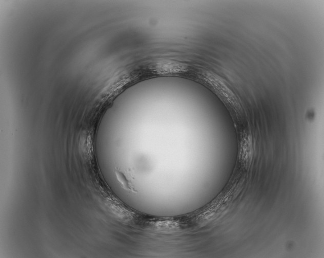 X0000096160426200801251132