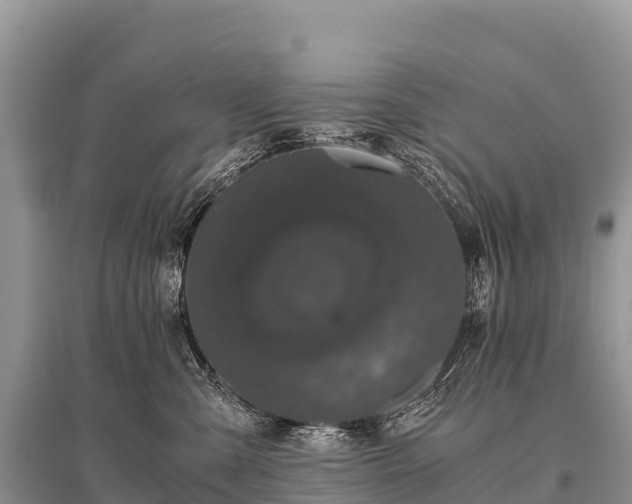 X0000096160427200801251132