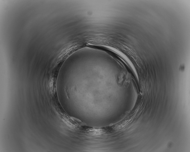 X0000096160428200801251132