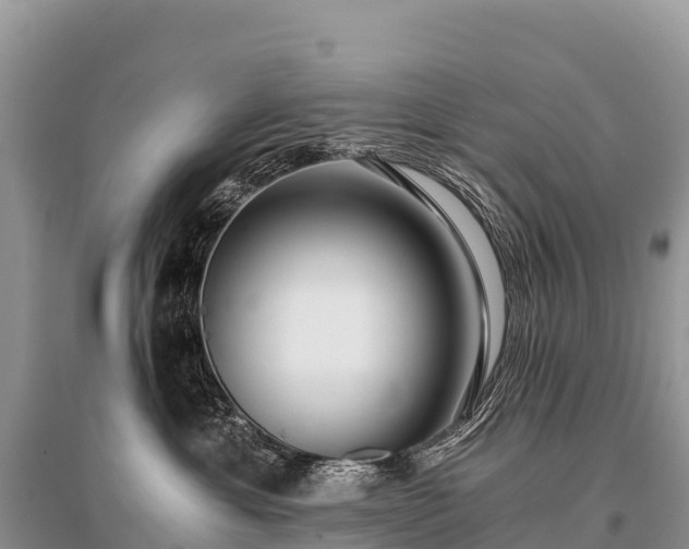 X0000096160429200801251132