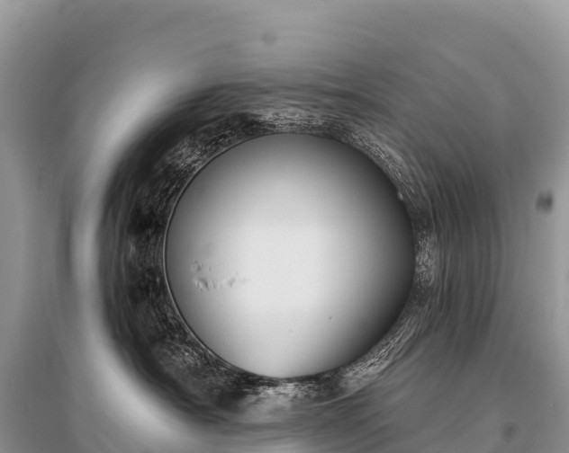 X0000096160430200801251132