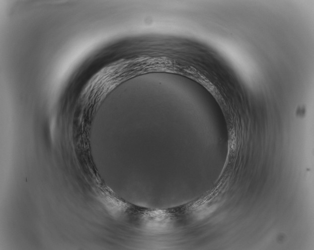 X0000096160431200801251132