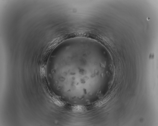 X0000096160432200801251131