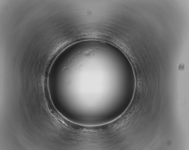 X0000096160434200801251131