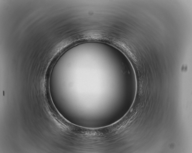 X0000096160439200801251131