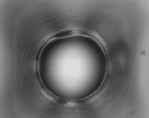 X0000096160441200801251131
