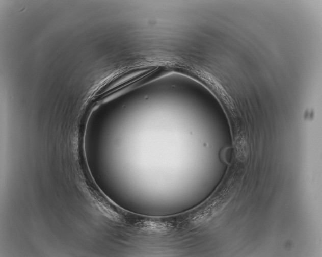 X0000096160442200801251131