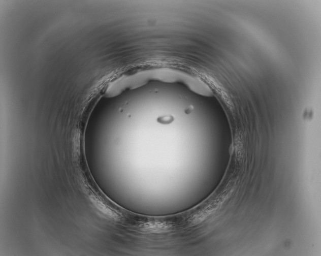 X0000096160445200801251131