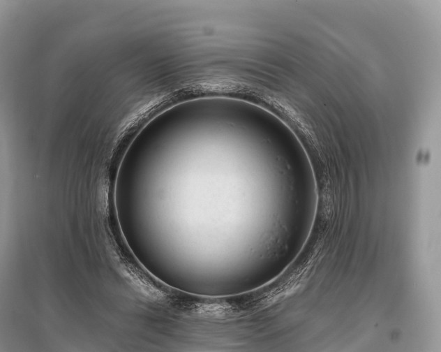 X0000096160446200801251131