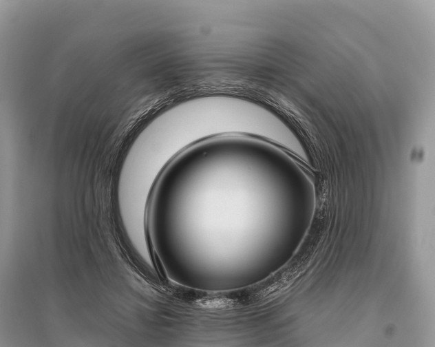 X0000096160452200801251131