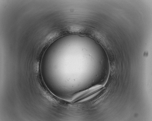 X0000096160454200801251131