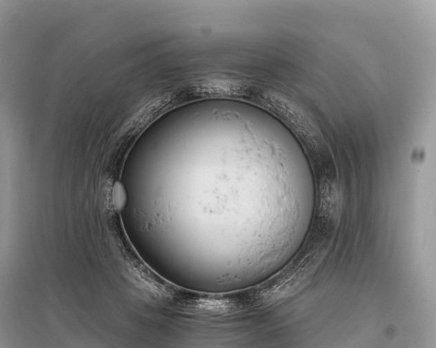 X0000096160457200801251131
