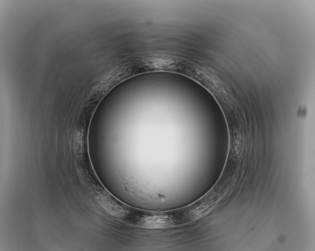 X0000096160461200801251131
