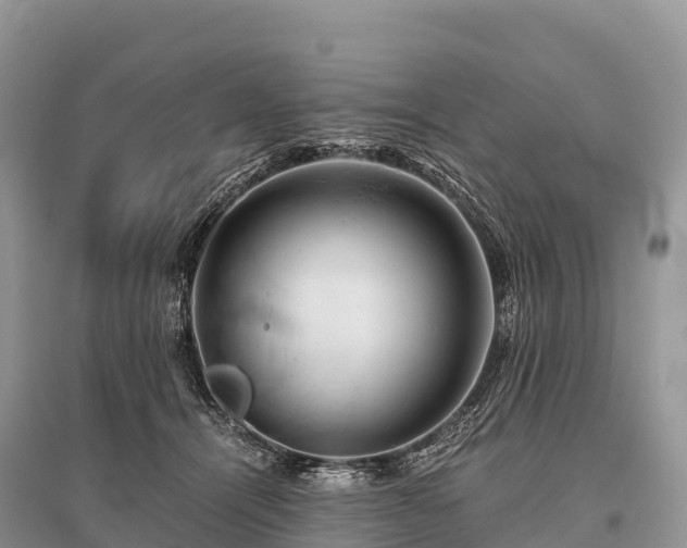 X0000096160464200801251131