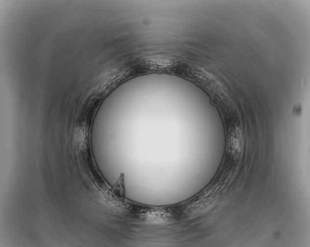 X0000096160468200801251131