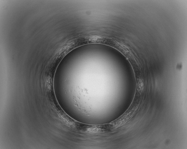 X0000096160470200801251131