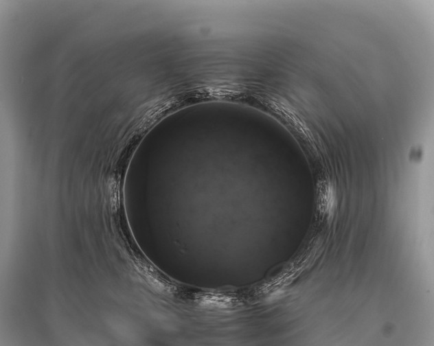 X0000096160471200801251131