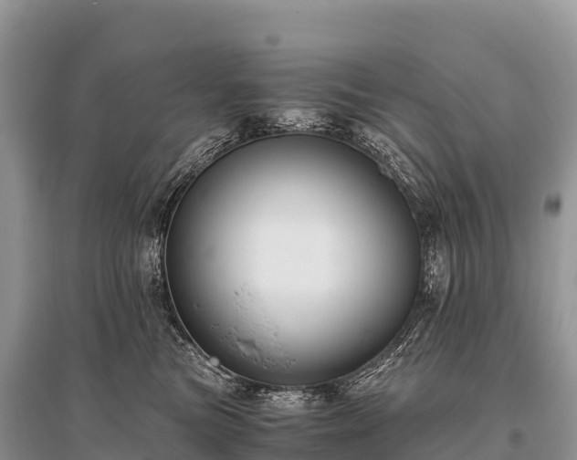 X0000096160473200801251131