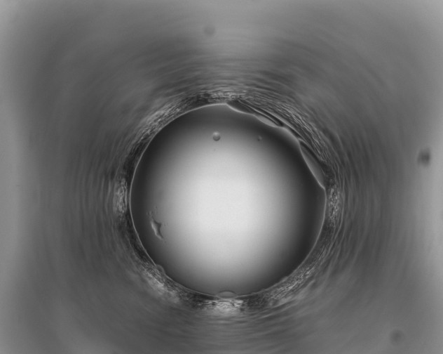 X0000096160474200801251131