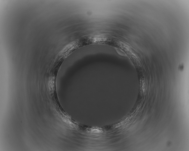 X0000096160475200801251131